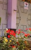 Туры в отель Kuniville Guest House Туры в отель Kuniville Guest House