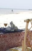 Туры в отель Jumuia Conference & Beach Resort Туры в отель Jumuia Conference & Beach Resort
