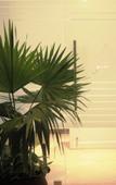 Туры в отель Royal Court Hotel Туры в отель Royal Court Hotel