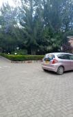 Туры в отель Palm Airport Suites Туры в отель Palm Airport Suites
