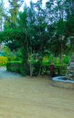 Туры в отель Naivasha Peppercorn Holiday Resort Туры в отель Naivasha Peppercorn Holiday Resort