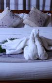 Туры в отель Naivasha Peppercorn Holiday Resort Туры в отель Naivasha Peppercorn Holiday Resort