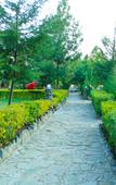 Туры в отель Naivasha Peppercorn Holiday Resort Туры в отель Naivasha Peppercorn Holiday Resort
