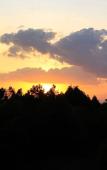 Туры в отель Naivasha Peppercorn Holiday Resort Туры в отель Naivasha Peppercorn Holiday Resort