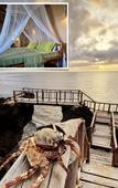 Туры в отель Room-colobus Suite of 40m2 in Villa 560 Туры в отель Room-colobus Suite of 40m2 in Villa 560