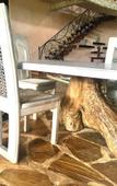 Туры в отель Room-colobus Suite of 40m2 in Villa 560 Туры в отель Room-colobus Suite of 40m2 in Villa 560