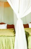 Туры в отель Jupiter Guest House - Parklands Туры в отель Jupiter Guest House - Parklands