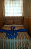 Туры в отель Coconut Palm Hotel Туры в отель Coconut Palm Hotel