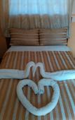 Туры в отель Coconut Palm Hotel Туры в отель Coconut Palm Hotel