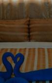 Туры в отель Coconut Palm Hotel Туры в отель Coconut Palm Hotel