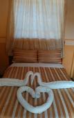 Туры в отель Coconut Palm Hotel Туры в отель Coconut Palm Hotel