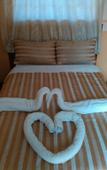 Туры в отель Coconut Palm Hotel Туры в отель Coconut Palm Hotel