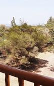 Туры в отель Merinja Guest House Туры в отель Merinja Guest House