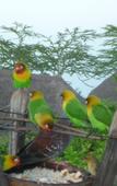 Туры в отель Sunbird Lodge Elementaita Туры в отель Sunbird Lodge Elementaita