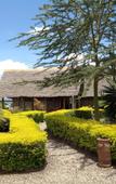 Туры в отель Sunbird Lodge Elementaita Туры в отель Sunbird Lodge Elementaita