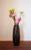 Туры в отель House Boutique Eco Hotel Туры в отель House Boutique Eco Hotel