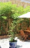 Туры в отель House Boutique Eco Hotel Туры в отель House Boutique Eco Hotel