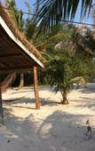 Туры в отель Palm Beach Bungalow Resort Туры в отель Palm Beach Bungalow Resort