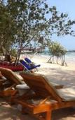 Туры в отель Palm Beach Bungalow Resort Туры в отель Palm Beach Bungalow Resort