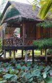 Туры в отель Palm Beach Bungalow Resort Туры в отель Palm Beach Bungalow Resort