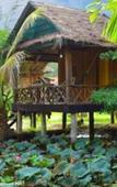 Туры в отель Palm Beach Bungalow Resort Туры в отель Palm Beach Bungalow Resort