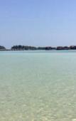 Туры в отель Palm Beach Bungalow Resort Туры в отель Palm Beach Bungalow Resort