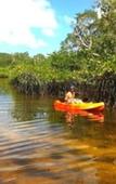 Туры в отель Palm Beach Bungalow Resort Туры в отель Palm Beach Bungalow Resort