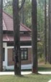 Туры в отель vKirirom Pine Resort Туры в отель vKirirom Pine Resort
