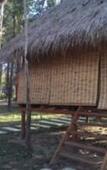 Туры в отель vKirirom Pine Resort Туры в отель vKirirom Pine Resort