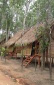 Туры в отель vKirirom Pine Resort Туры в отель vKirirom Pine Resort