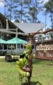 Туры в отель vKirirom Pine Resort Туры в отель vKirirom Pine Resort