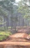 Туры в отель vKirirom Pine Resort Туры в отель vKirirom Pine Resort
