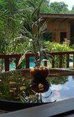 Туры в отель Sok Sabay Resort Туры в отель Sok Sabay Resort