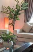 Туры в отель La Belle Residence Туры в отель La Belle Residence
