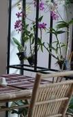 Туры в отель Mowin Boutique Hotel & Residence Туры в отель Mowin Boutique Hotel & Residence