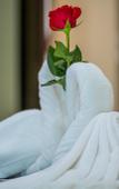 Туры в отель Molyan Hotel Туры в отель Molyan Hotel
