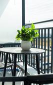Туры в отель Ellie Hotel Туры в отель Ellie Hotel
