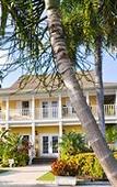 Туры в отель The Sunshine Hotel and Suites Туры в отель The Sunshine Hotel and Suites