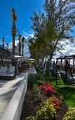 Туры в отель The Westin Grand Cayman Seven Mile Beach Resort & Spa Туры в отель The Westin Grand Cayman Seven Mile Beach Resort & Spa