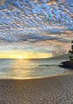 Туры в отель Napili Kai Beach Resort Туры в отель Napili Kai Beach Resort