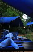 Туры в отель Mahoora - Yala by Eco Team Туры в отель Mahoora - Yala by Eco Team