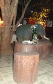Туры в отель Elephant Rest Udawalawa Туры в отель Elephant Rest Udawalawa
