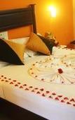 Туры в отель Hotel Eden Garden Туры в отель Hotel Eden Garden