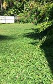 Туры в отель Weeragiri Homestay Туры в отель Weeragiri Homestay