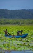 Туры в отель Grand Tamarind Lake Туры в отель Grand Tamarind Lake