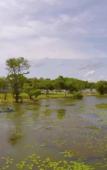 Туры в отель Grand Tamarind Lake Туры в отель Grand Tamarind Lake