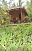 Туры в отель Milk House Cottage Udawalawe Туры в отель Milk House Cottage Udawalawe