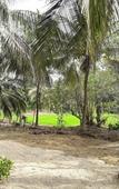 Туры в отель Milk House Cottage Udawalawe Туры в отель Milk House Cottage Udawalawe