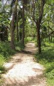 Туры в отель Milk House Cottage Udawalawe Туры в отель Milk House Cottage Udawalawe