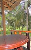 Туры в отель Milk House Cottage Udawalawe Туры в отель Milk House Cottage Udawalawe